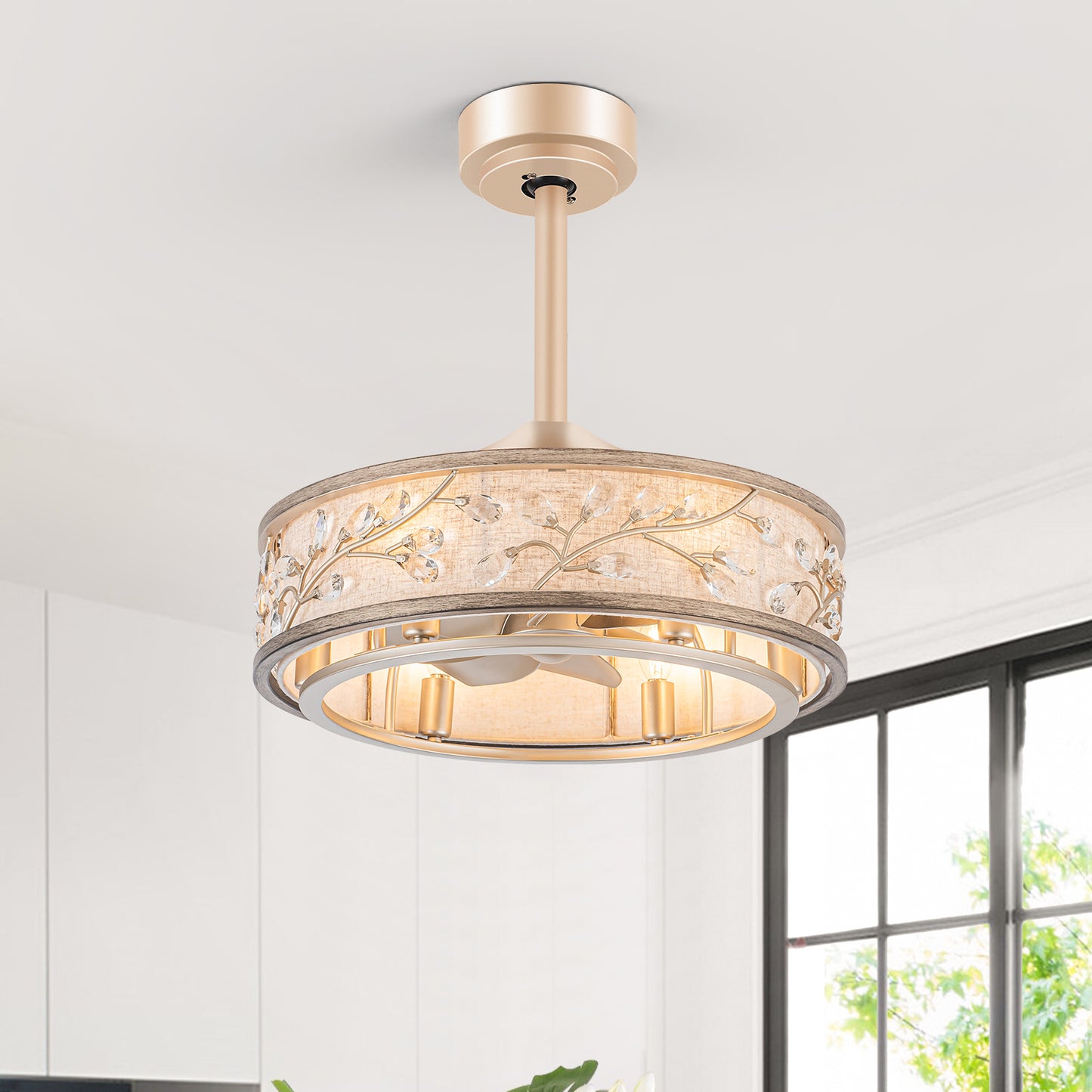 WWM 20" Caged Crystal Ceiling Fan with Light
